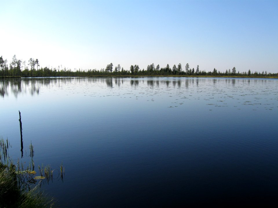 Varpulampi Utajärvi