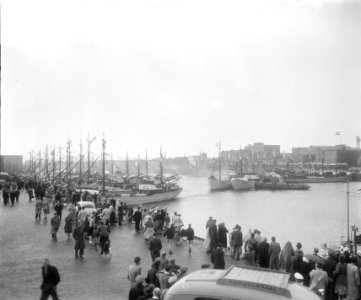 Uitvaren haringvloot IJmuiden, Bestanddeelnr 905-7445