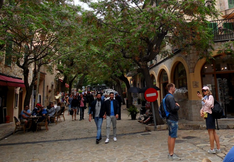VALLDEMOSSA-MAJORKA, AB-300