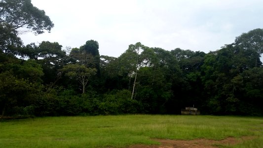 Uganda Virus Research Institute visit on 2 March 2018 - the forest 39