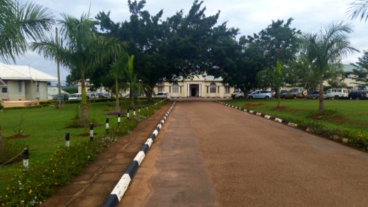 Uganda Virus Research Institute visit on 2 March 2018 - the forest 58