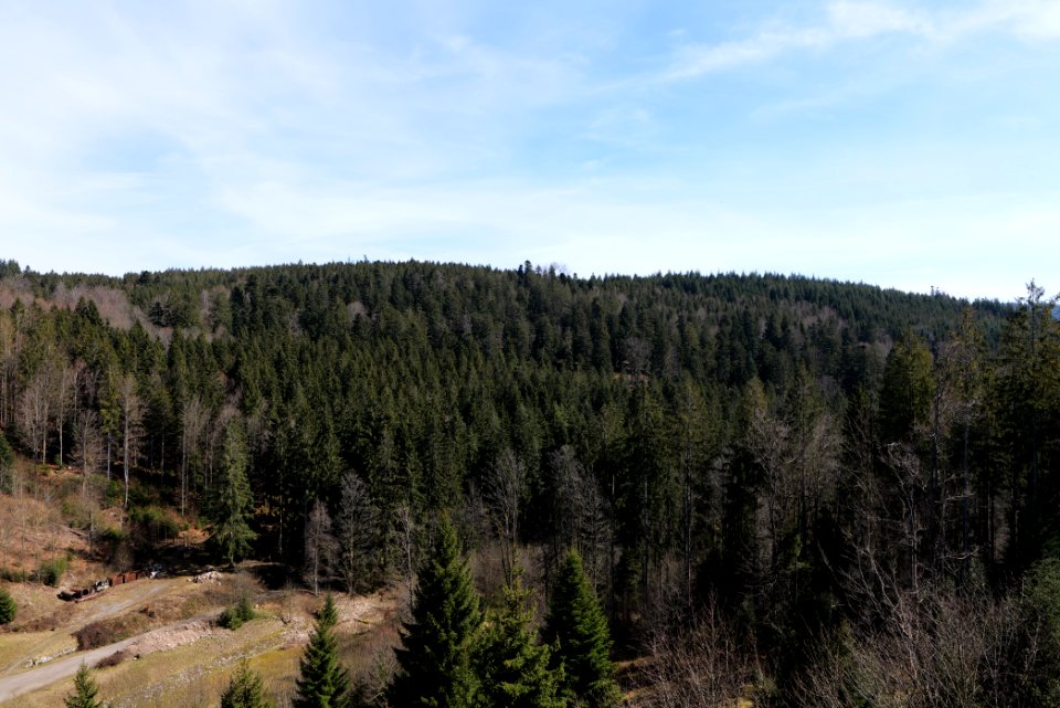 Valley from Schwarzenbachtalsperre dam 2020-03-15 13