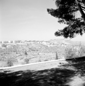 Uitzicht vanuit de schaduw van een boom op de berg, Bestanddeelnr 255-2439