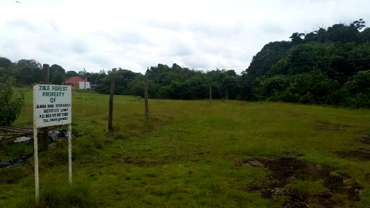 Uganda Virus Research Institute visit on 2 March 2018 - the forest 41