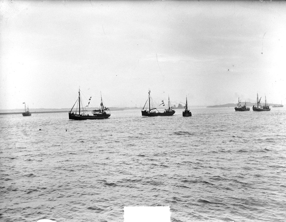 Uitvaren visservloot te IJmuiden, Bestanddeelnr 903-3806