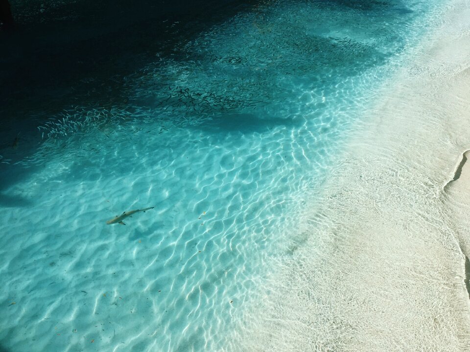 Water waves nature
