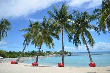 Seashore island pacific cebu resort photo