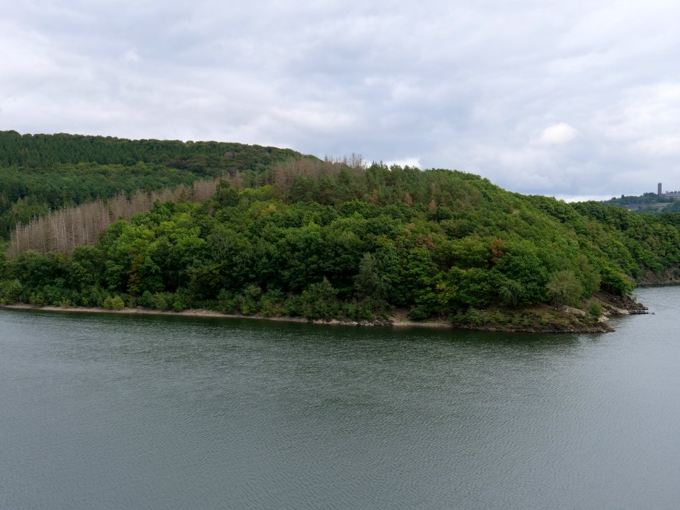 Urftsee from dam viewpoint north in September 2019 03