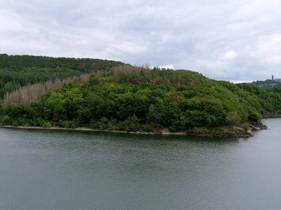 Urftsee from dam viewpoint north in September 2019 03