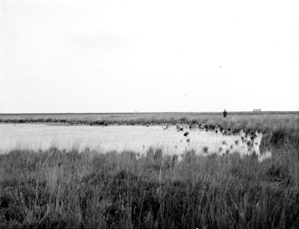 Vennen , de peel, Bestanddeelnr 192-0084