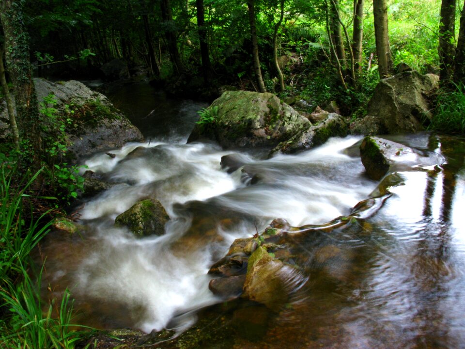 Water landscape waterfall