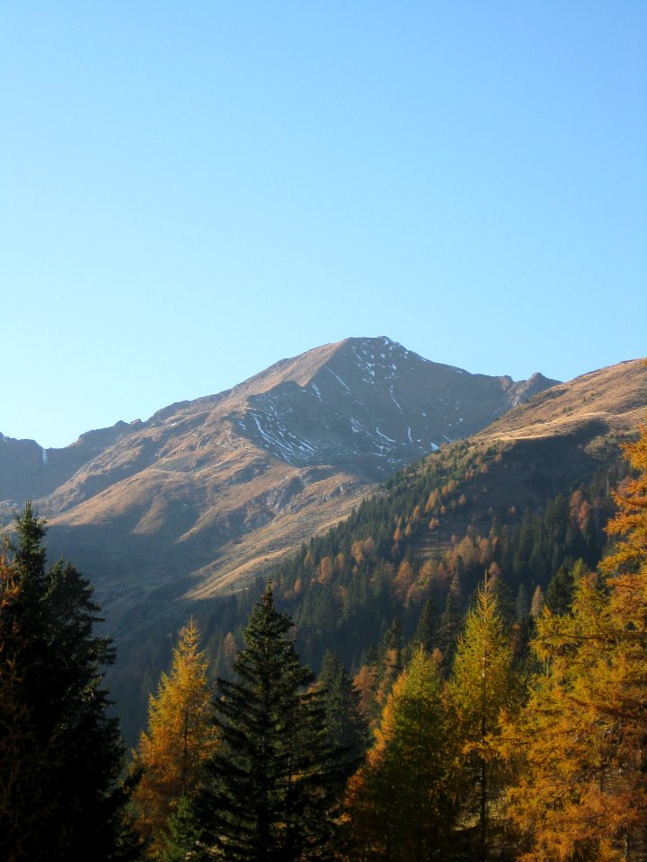 Ultner Hochwart von Clazner Alm 1