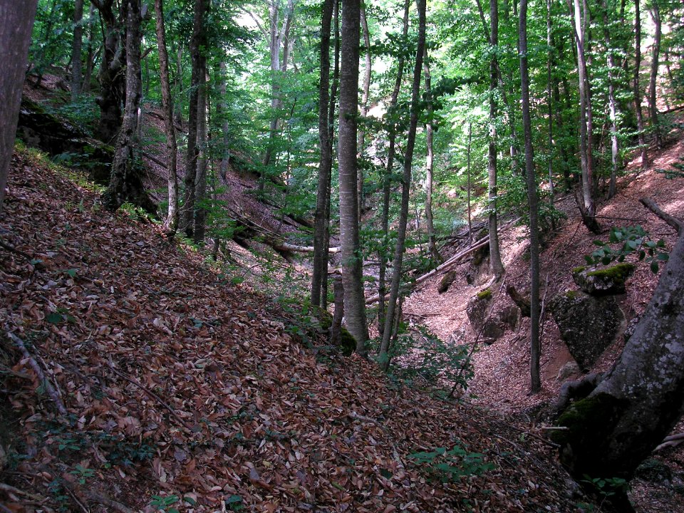 UskutRiver 2