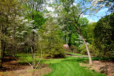 Tyler Arboretum - DSC01806