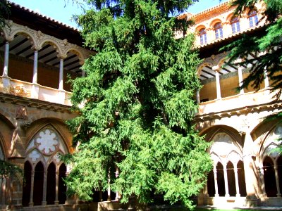 Vera de Moncayo - Mº Veruela 17