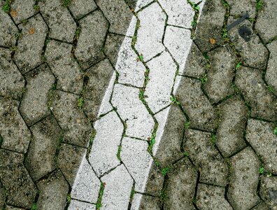 Paving stones texture ground photo