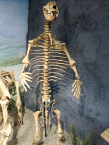 Urzeitmuseum Taufkirchen-Vils 4