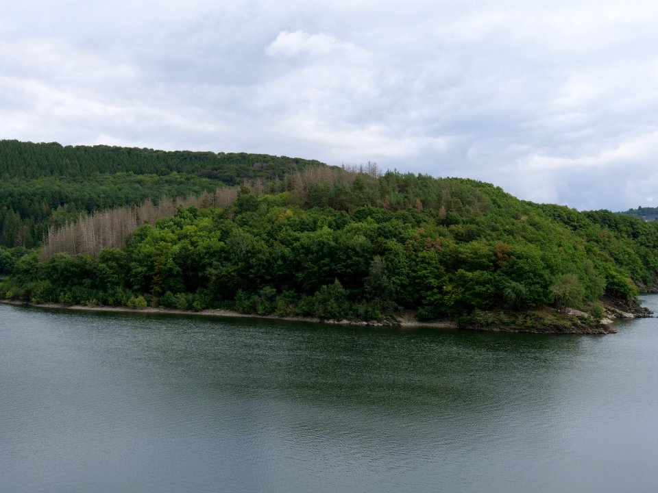 Urftsee from dam viewpoint north in September 2019 09