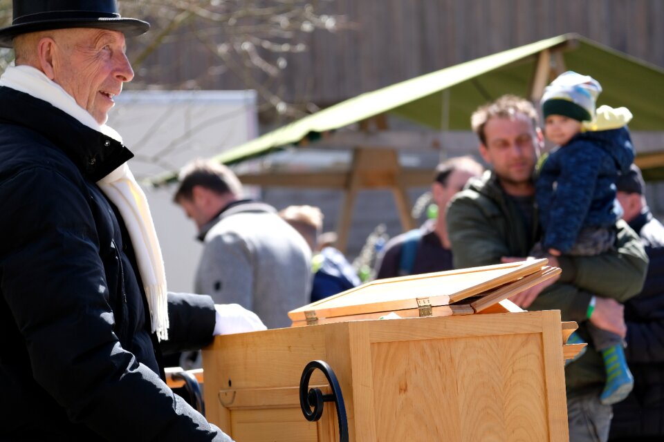 Human adult man barrel organ