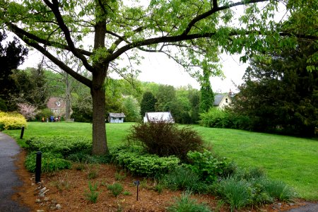 Tyler Arboretum - DSC01725