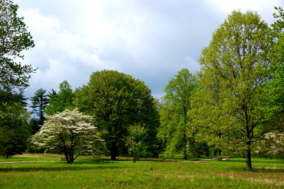 Tyler Arboretum - DSC01817