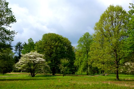 Tyler Arboretum - DSC01817