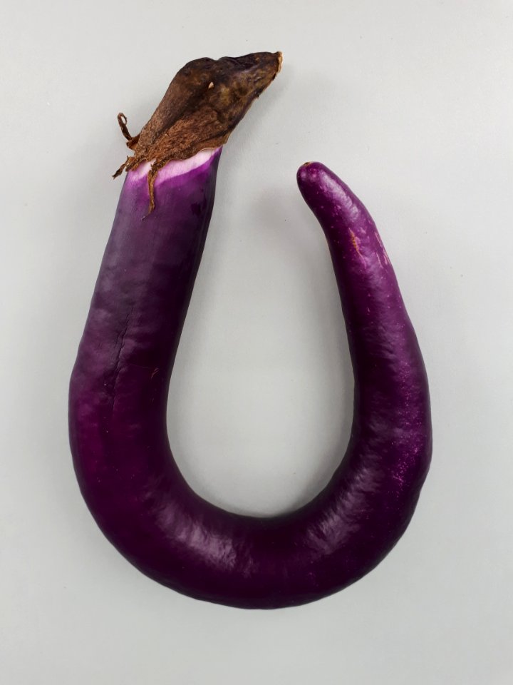 U-shaped Orient Charm eggplant 2017 A1