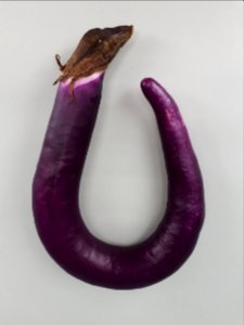 U-shaped Orient Charm eggplant 2017 A1