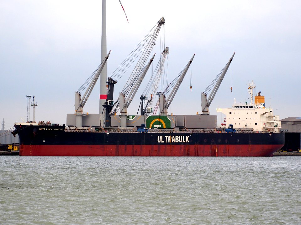 Ultra Wollongong (ship, 2011) IMO 9566576 Port of Antwerp