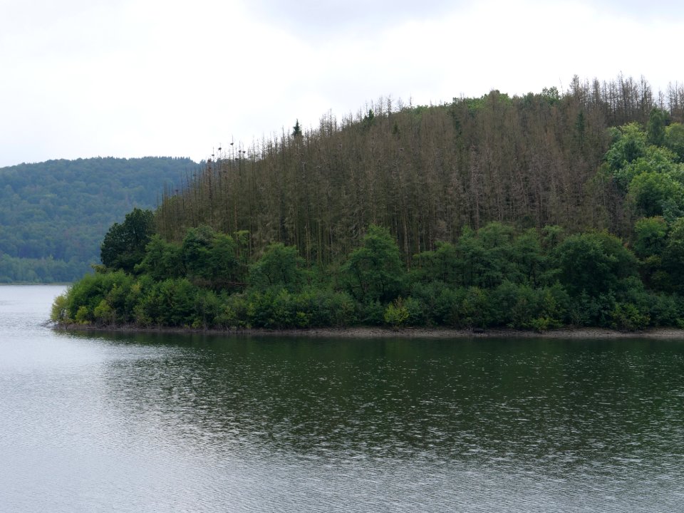 Urftsee in September 2019 07