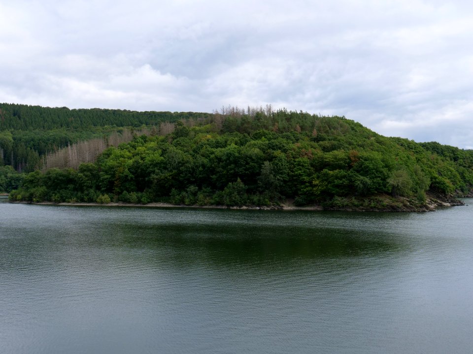 Urftsee from dam in September 2019 01