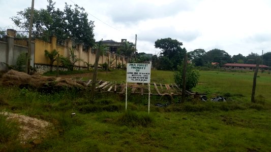 Uganda Virus Research Institute visit on 2 March 2018 - the forest 38