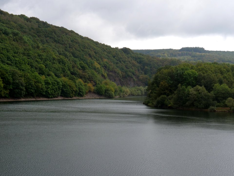 Urftsee in September 2019 43