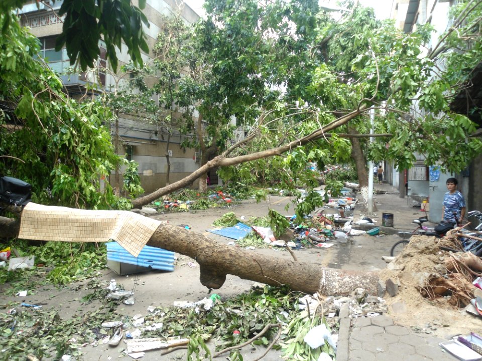 Typhoon Rammasun (2014) in Haikou - 07