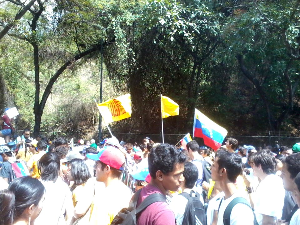 USB and Venezuelan flags 2014