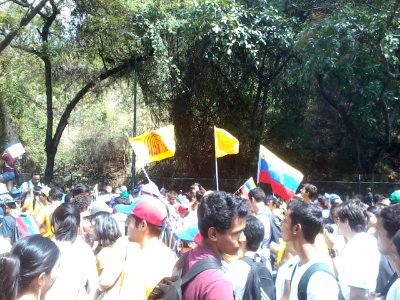 USB and Venezuelan flags 2014