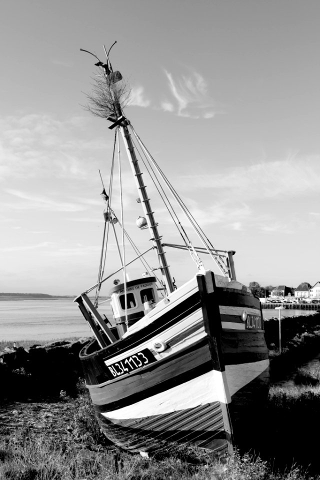 The Boats (182405223)