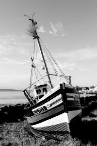The Boats (182405223)