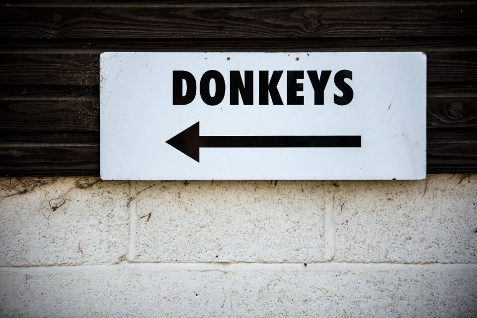 Wall sign donkeys