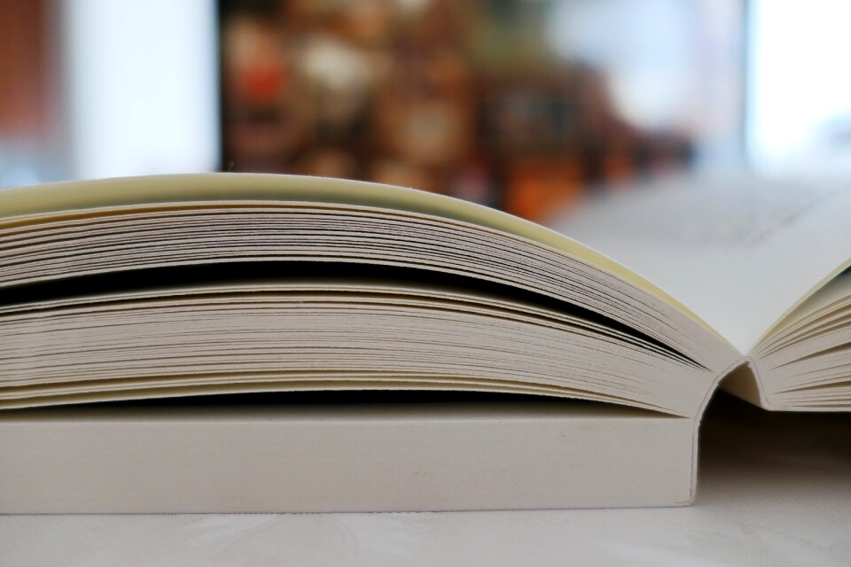 Paper book pages text