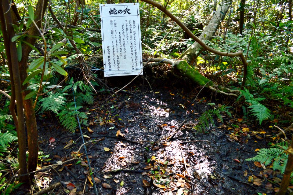 Ukishima-no-mori-2