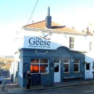The Geese Have Gone Over The Water Pub, 16 Southover Street, Hanover, Brighton (January 2014) (2)