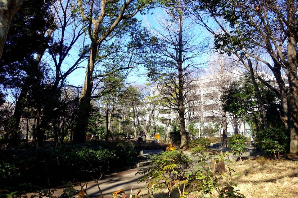 Tokyo Metropolitan Central Library - Arisugawa-no-miya Memorial Park - DSC06840