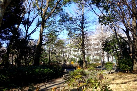 Tokyo Metropolitan Central Library - Arisugawa-no-miya Memorial Park - DSC06840