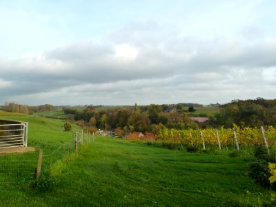 Ulestraten-Uitzicht op Waterval (1)