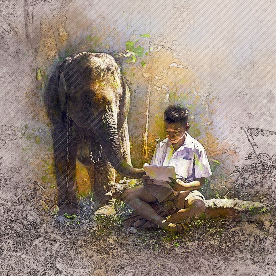 People mammal elephant