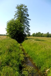 Thüle - Barbruch - 12