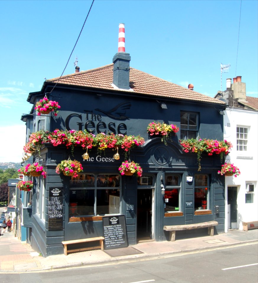 The Geese Have Gone Over The Water Pub, 16 Southover Street, Hanover, Brighton (July 2019) (5)