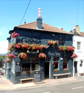 The Geese Have Gone Over The Water Pub, 16 Southover Street, Hanover, Brighton (July 2019) (5)
