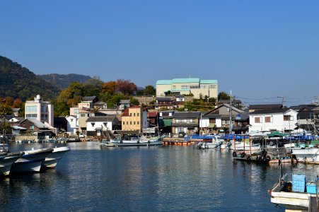 Tomo Castle, enkei photo